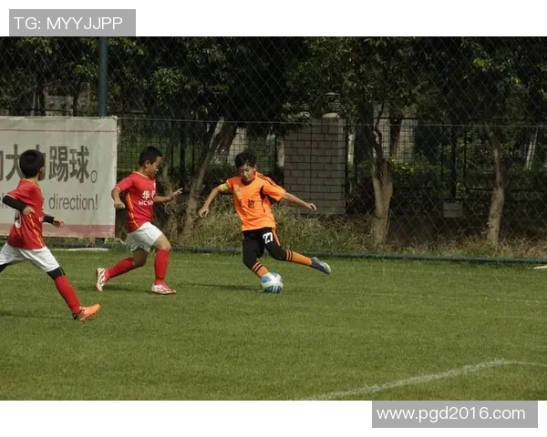 足球快递员的日常挑战与激情：在绿茵场上送达梦想与荣耀