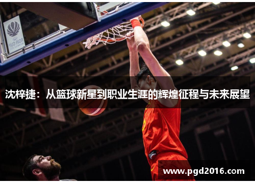 沈梓捷：从篮球新星到职业生涯的辉煌征程与未来展望