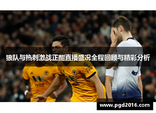 狼队与热刺激战正酣直播盛况全程回顾与精彩分析